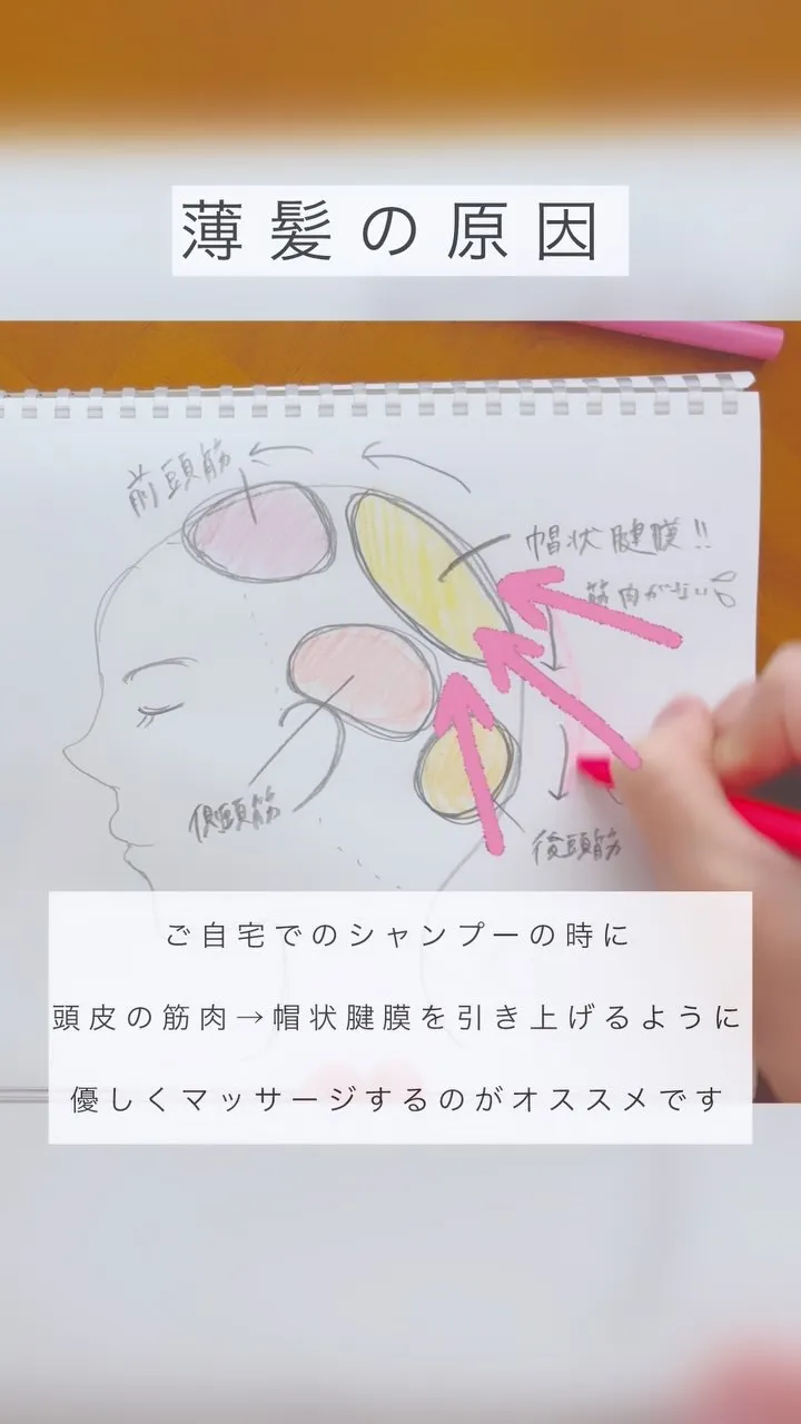 薄毛・抜け毛を改善したいあなたへ